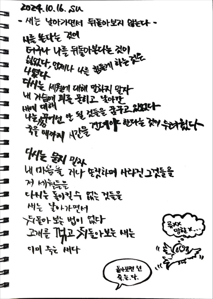  [필사] 새는 날아가면서 뒤돌아보지 않는다-류시화