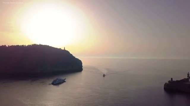  , 타로상담전문가 1달 만에 타로상담전문가자격증 합격한 팁