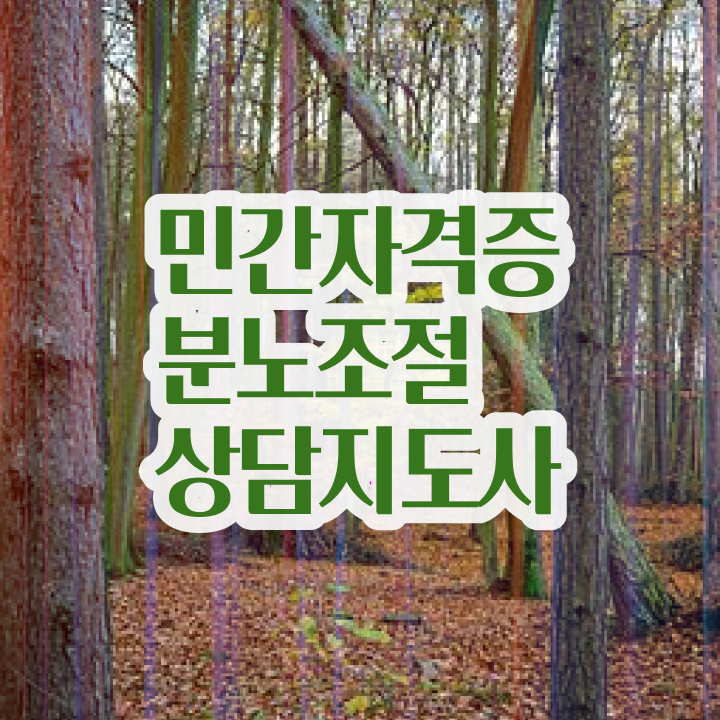  40대주부자격증 , 분노조절상담지도사 끝낼수 있었던 후기