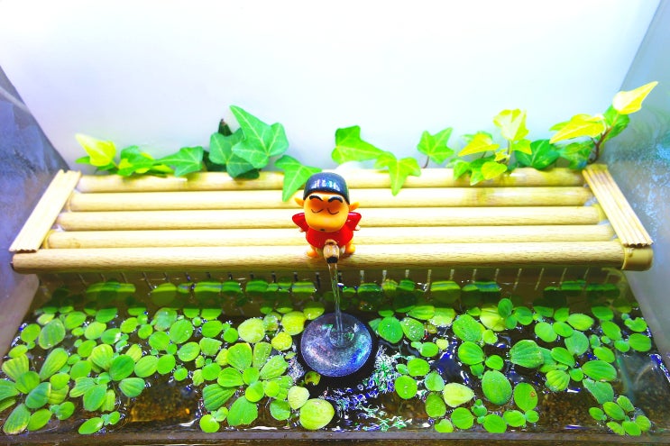  부상수초 분리함 만들기 diy