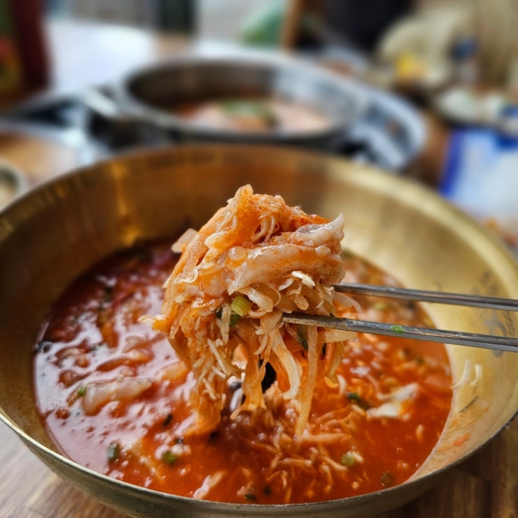  거제도 지세포 물회 맛집 초정명가 스페셜한상