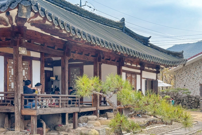 사진 5