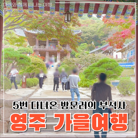  영주 부석사 단풍시기 가을여행