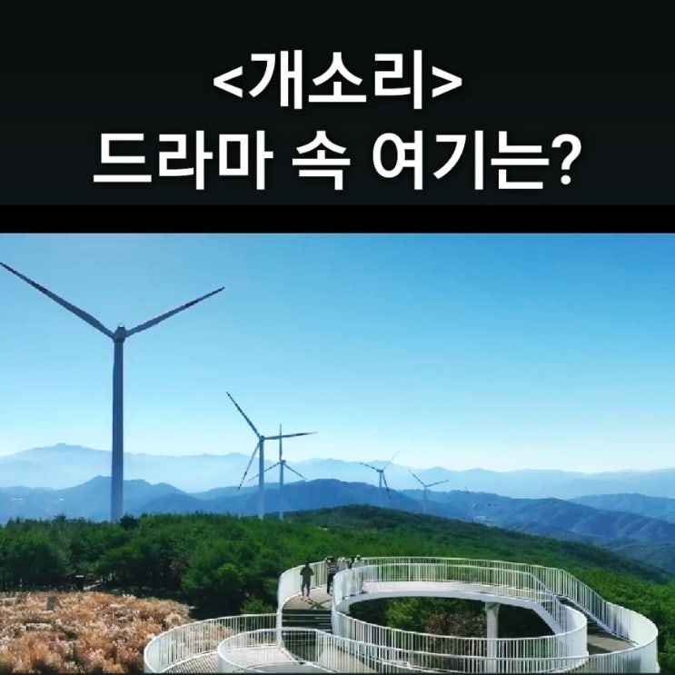  근수가 풍차 사기치는 언덕은? 거창 별바람언덕 감악산 꽃&별 여행축제 드라마 개소리 촬영지