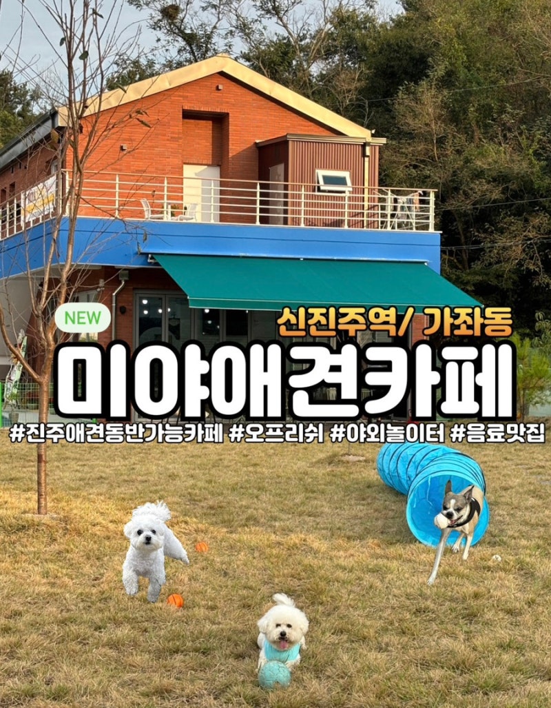 사진 5