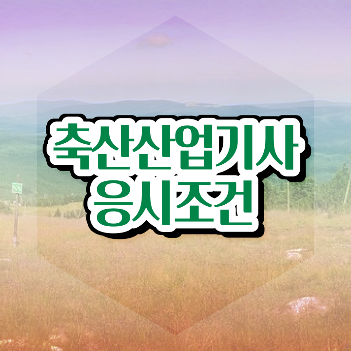  축산산업기사 시험응시자격 인강으로 간단하게 완료한 노하우