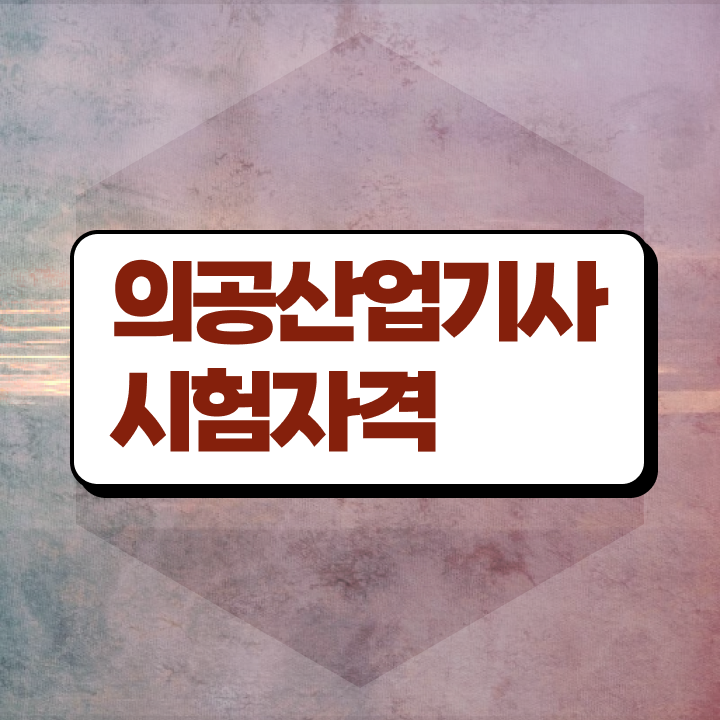  의공산업기사 2024 의공산업기사 시험자격 학점은행제로 단기간에 끝낸 전략