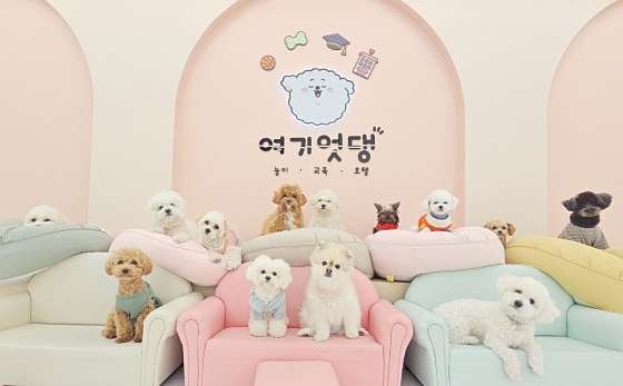 사진 4