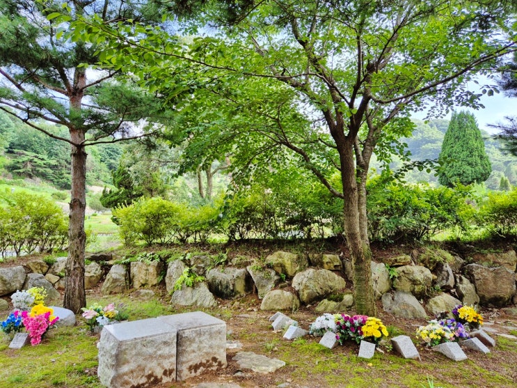  수목장 인식과 관심의 변화 추이
