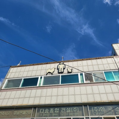 사진 3