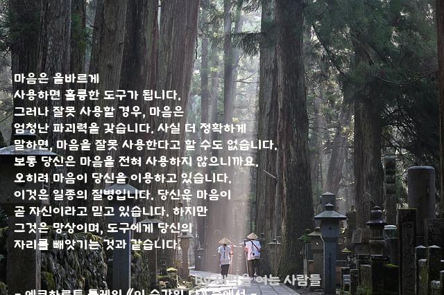 마음 마음