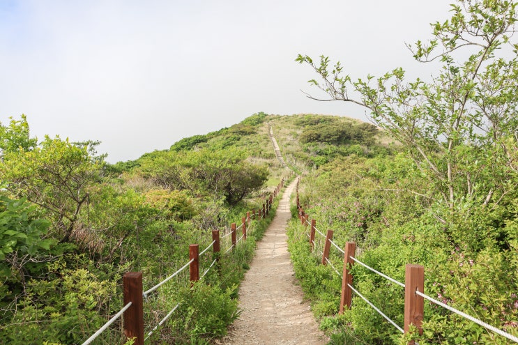  양산 천성산 등산 코스 여행 볼거리 원효봉 비로봉