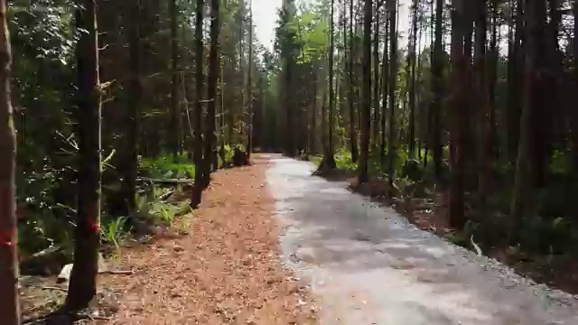  네일아트 국가자격증 필기 , 네일아트지도사 자격증 1달 만에 준비한 방법 여기만 보세요
