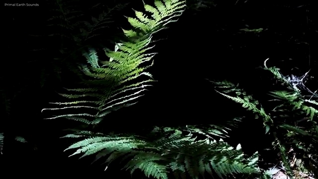  인문계 고졸 취업 , 학점은행제 학사전공 일과 병행하며 최단기간 완료한 팁