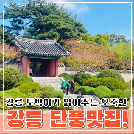  강릉 가을여행 명소, 오죽헌 단풍