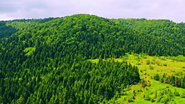  중앙대 사회복지학과 사회복지사 고졸자도 학은제로 수월하게