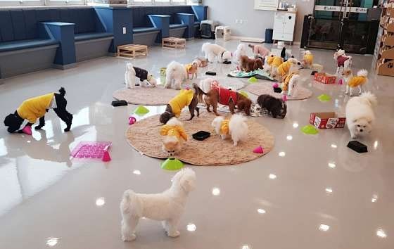 사진 4