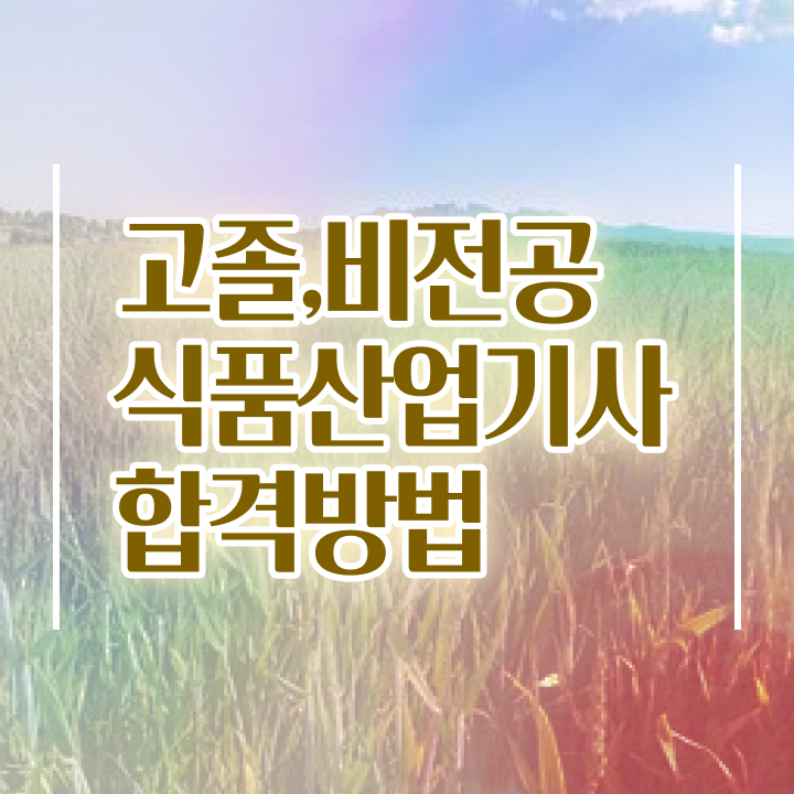  2024 식품산업기사 식품산업기사 취득자격 집에서 온라인으로 간단하게 준비한 후기