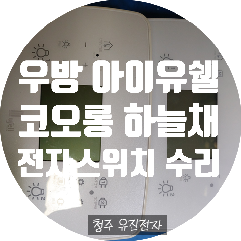  전자스위치 수리 우방 아이유쉘 전자스위치 수리