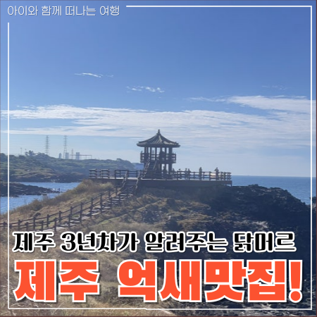  제주 가을여행, 억새 가득한 닭머르해안길과 신촌포구