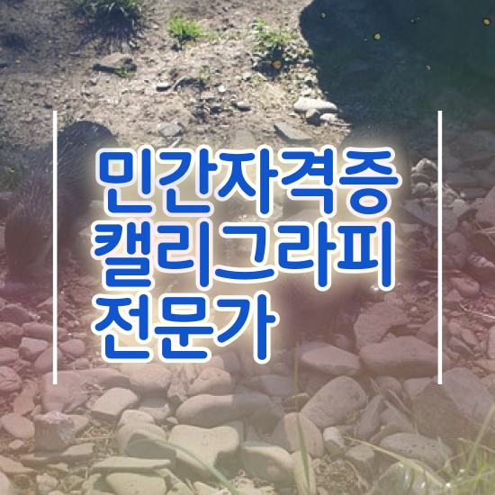  , 캘리그라피전문가 자격증 합격한 전략 확인해봅시다