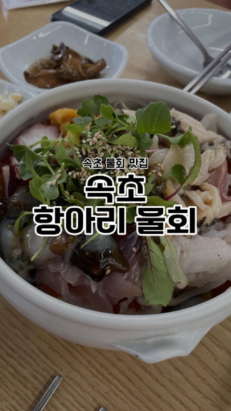  속초항아리물회, 속초에서 꼭 가봐야 할 물회 맛집!