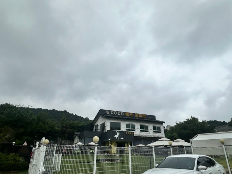 사진 4
