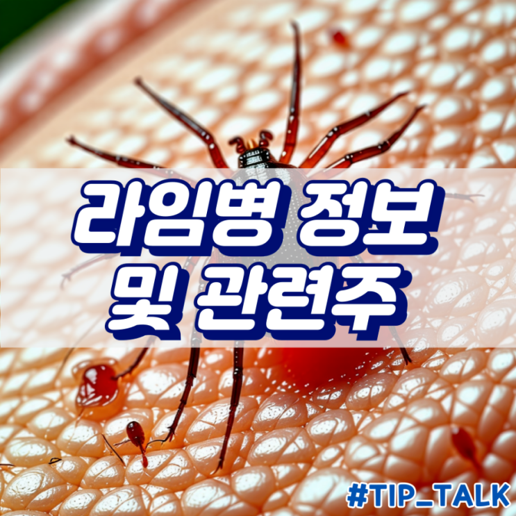  진드기 라임병 증상 및 치료 방법과 관련주