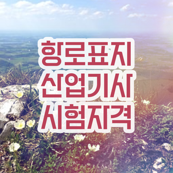  항로표지산업기사 응시자격 서류 항로표지산업기사 응시조건 인강만 듣고 간편하게 준비한 전략