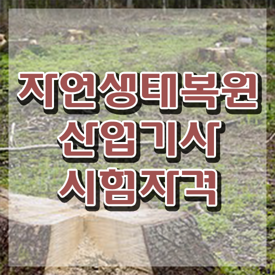  자연생태복원산업기사 시험자격 온라인으로 간단하게 완료한 방법