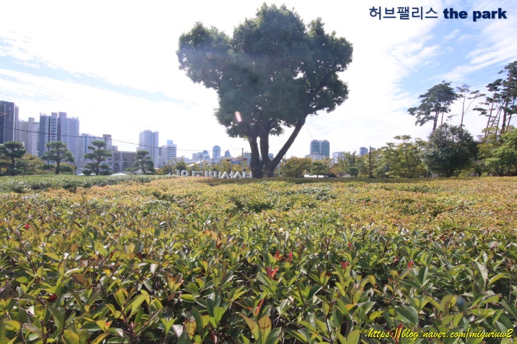  부산 부암동 연지동 시민공원 아파트 허브팰리스 분양 정보