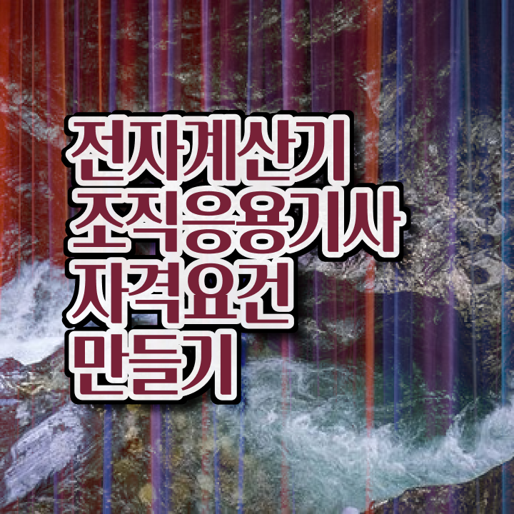  전자계산기조직응용기사 전자계산기조직응용기사 시험응시자격 독학으로 편하게 준비한 후기