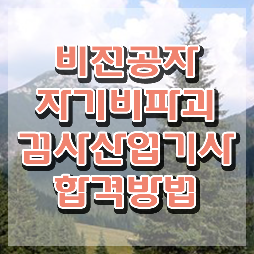  자기비파괴검사산업기사 시험자격 인강으로 간편하게 성공한 노하우