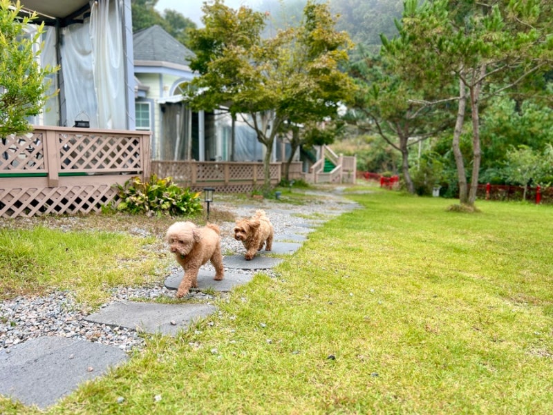 사진 7