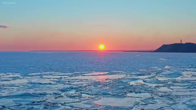  병원코디네이터 자격증 비용 , 병원코디네이터 자격증 쉽고 간편하게 시험준비 , 무료수강 혜택