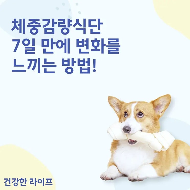  체중감량식단 7일 만에 변화를 느끼는 방법!