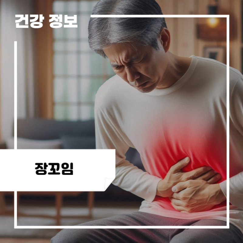 어른 아기 장꼬임 증상 및 원인, 대처 방법