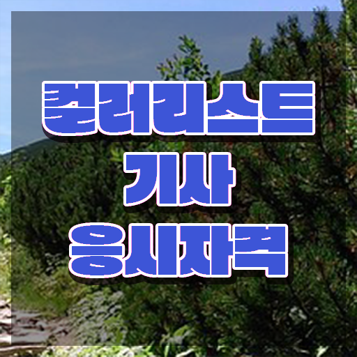  컬러리스트 기사 합격률 컬러리스트기사 응시자격 독학으로 간편하게 성공한 팁