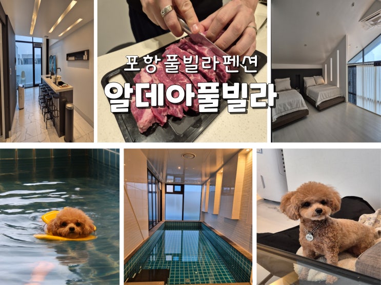  포항 풀빌라 추천 포항펜션추천 포항애견동반펜션 알데아풀빌라펜션