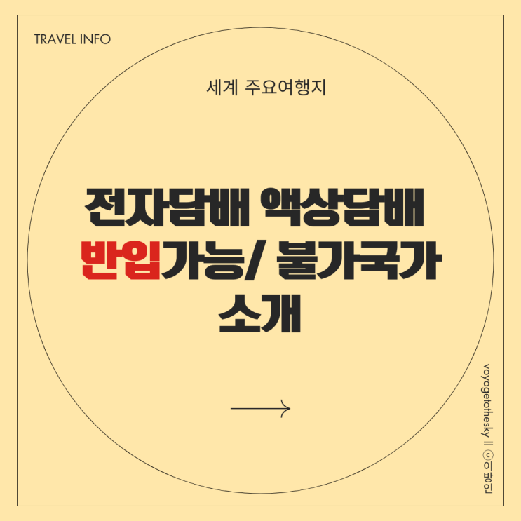  여행TIP I 전자담배 액상담배 반입가능 반입불가 국가들 정리 I 미국 태국 베트남 호주 발리 영국 등
