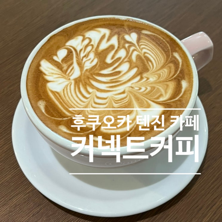  후쿠오카 텐진 카페 추천ㅣ라떼아트 챔피언 카페 커넥트커피