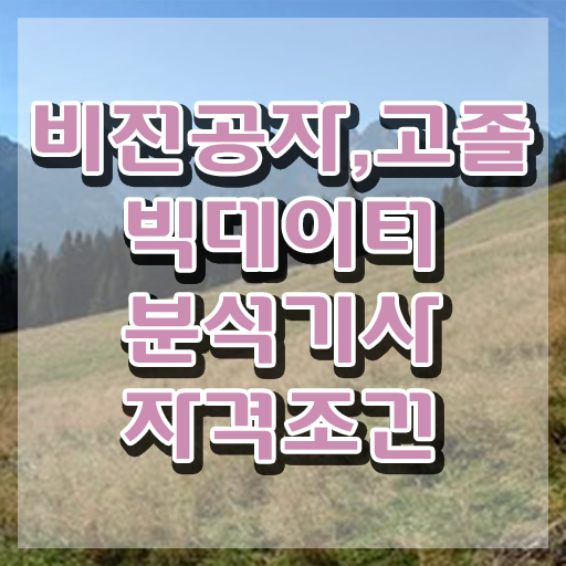  빅데이터분석기사 dir , 빅데이터분석기사 자격요건 온라인으로 간편하게 준비한 과정