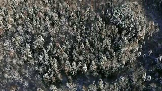  사회복지 공무원 국가직 , 사회복지사2급 경력없어도 학점은행제로 빠르게