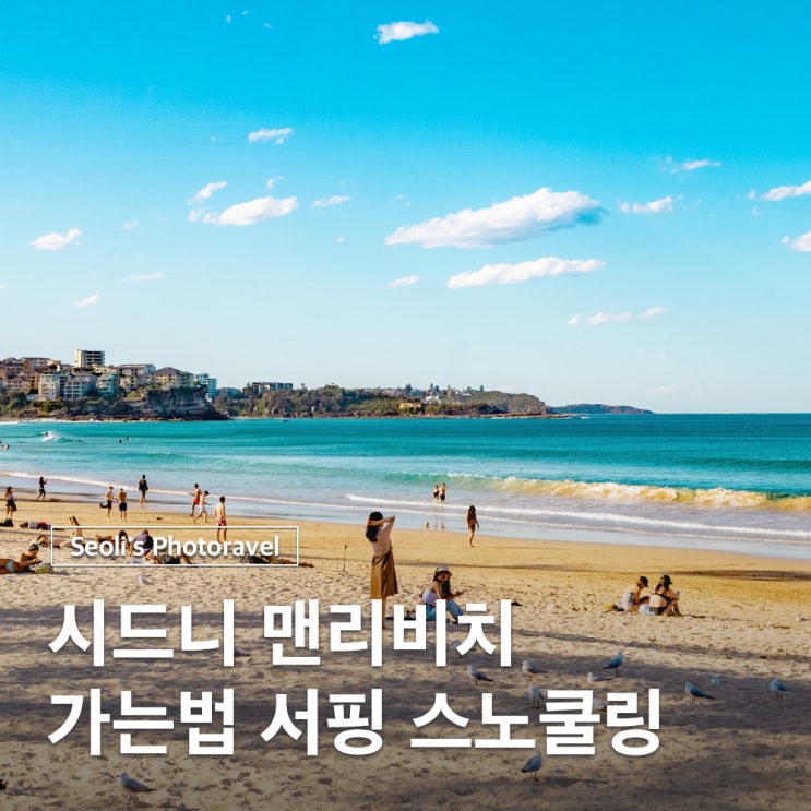  시드니 가볼만한곳 맨리비치 가는법 서핑 스노쿨링 숙소