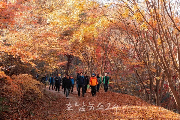  깊어가는 가을, 걷기 편하고 사색하기 좋은 영암 길이 당신을 초대한다