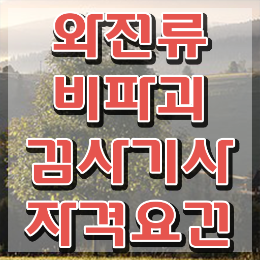  와전류비파괴검사기사 시험자격 온라인 과정으로 간단하게 성공한 과정