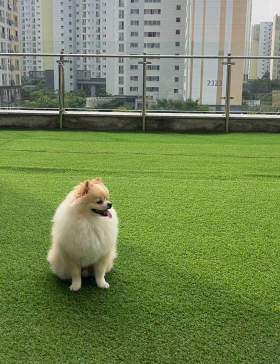 사진 4