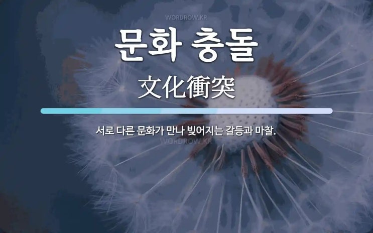 문화적 충돌, 마리마르 페레즈, 일본에서 논란 촉발
