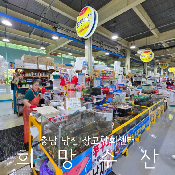  충남 당진 장고항회센터 맛집 희망수산 강추 후기