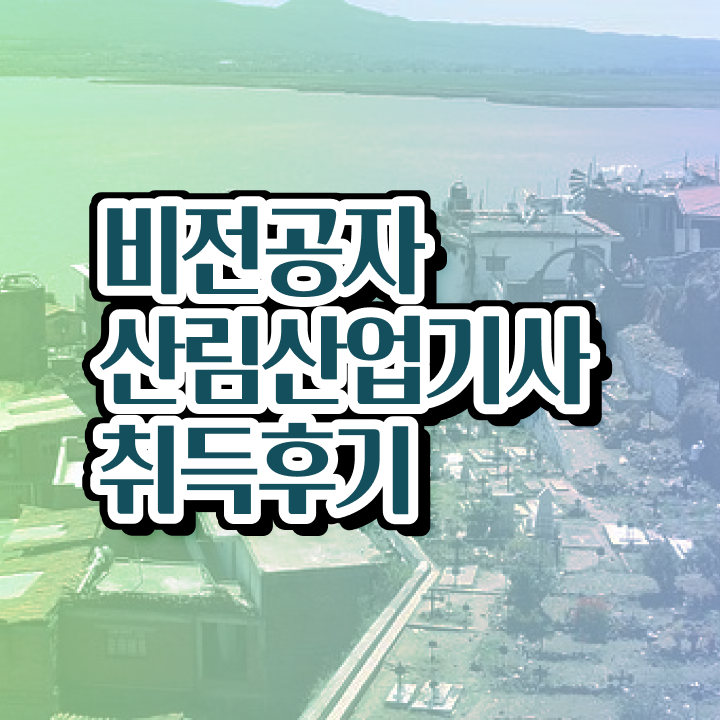  산림산업기사 비전공자 산림산업기사 자격요건 인강만 듣고 편하게 완료한 노하우